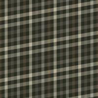 Beautiful background plaid colorful. Design for gradient using background photo