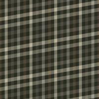 Beautiful background plaid colorful. Design for gradient using background photo