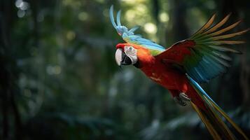 Macaw Parrot in Flight. Generative AI photo
