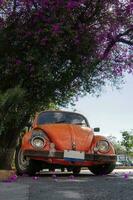 antiguo naranja coche en el calle con flores en el antecedentes. mexico foto