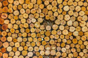 medias circunferencias cortadas en madera foto