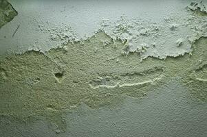 Mold on a damp basement wall photo