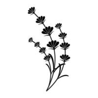 illustration vector graphic of Lavender flower in a white background. Perfect for icon, symbol, tattoo, screen printing, etc.