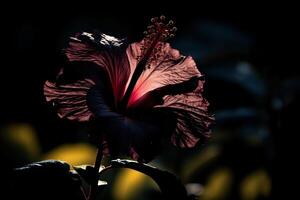 silueta de un hibisco flor. ai generado foto