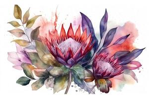 Banner with branches purple protea flowers plumeria hibiscus and tropical plants hand drawn watercolor painting on white background. photo