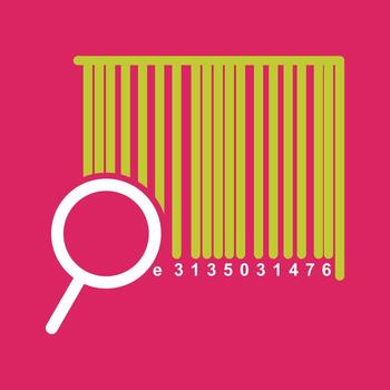 Find Code Vector Icon