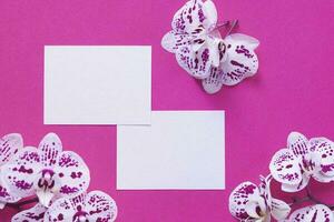 bright pink mockup for design with white frames and orchids photo