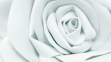 white artificial rose flower macro background for floral and wedding design photo