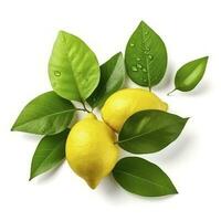 Fresh lemon with green leaves isolated on white background, generate ai photo