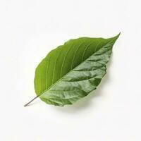 green leaf isolated on white background, generate ai photo