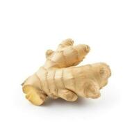 Fresh ginger root or rhizome isolated on white background cutout, generate ai photo