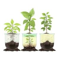 Close up on transplanting process of plants, isolated on white background, generate ai photo