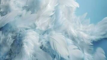 a bright blue background with one white feather, in the style of soft and dreamy pastels, glimmering light effects, nature inspired imagery, fairycore, soft focal points, generate ai photo