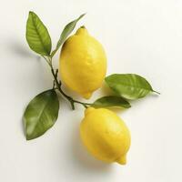 rama de jugoso limones con hojas aislado en blanco fondo, generar ai foto