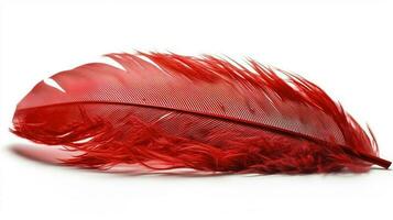 an old red feather which is drawn on a white background, in the style of light red and light pink, sketchfab, translucent medium, bold colours, generat ai photo