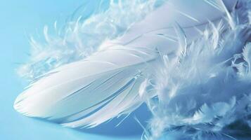 a bright blue background with one white feather, in the style of soft and dreamy pastels, glimmering light effects, nature inspired imagery, fairycore, soft focal points, generate ai photo