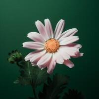 un rosado y blanco flor con un verde antecedentes ai generado foto