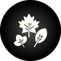 Autumn Leaf Vector Icon