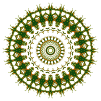 modello rotondo mandala png