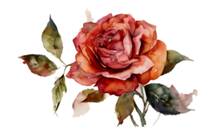 Beautiful flower with leaf watercolor AI Generate png