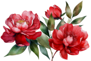 Beautiful flower with leaf watercolor AI Generate png