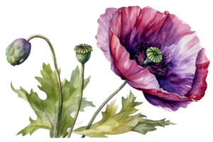 fleur avec feuille aquarelle ai produire png