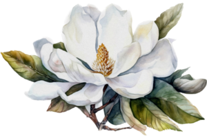 Flower with leaf watercolor AI Generate png