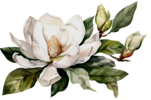 Blume mit Blatt Aquarell ai generieren png