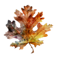 schön Herbst Blatt Aquarell ai generieren png