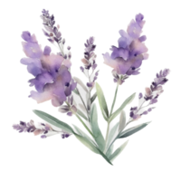 Beautiful flower with leaf watercolor ai generate png