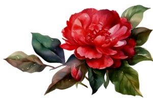 Beautiful flower with leaf watercolor AI Generate png