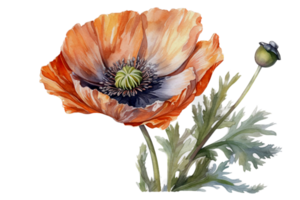 Flower with leaf watercolor AI Generate png