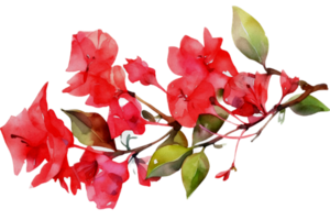 Flower with leaf watercolor AI Generate png