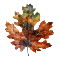 schön Herbst Blatt Aquarell ai generieren png