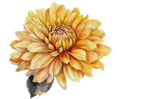 Beautiful flower with leaf watercolor AI Generate png