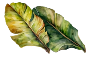 Green leaf watercolor AI Generate png