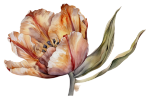 Blume mit Blatt Aquarell ai generieren png