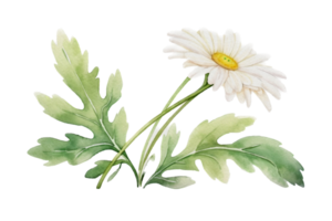 flor com folha aguarela ai gerar png