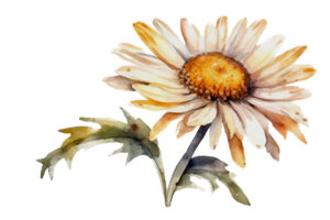 flor com folha aguarela ai gerar png