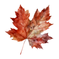 schön Herbst Blatt Aquarell ai generieren png