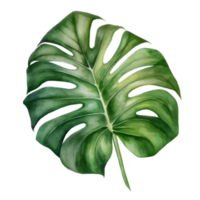 tropical folha aguarela ai gerar png