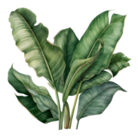 tropical hoja acuarela ai generar png