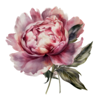 magnifique fleur avec feuille aquarelle ai produire png