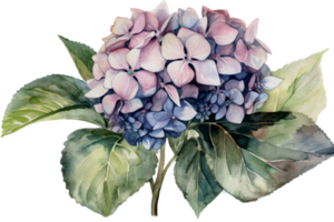 Beautiful flower with leaf watercolor ai generate png