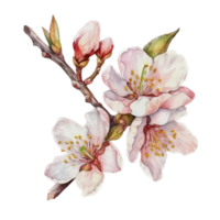 mooi bloem met blad waterverf ai genereren png