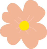 fiore fiorire colorato png
