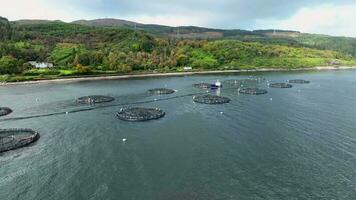 mer ferme aquaculture filets dans le océan utilisé pour intensif poisson agriculture video