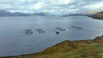 aquaculture poisson ferme utilisé à intensivement grandir nourriture pour le marché video