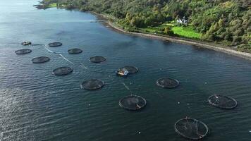 mar granja acuicultura redes en el Oceano usado para intensivo pescado agricultura video