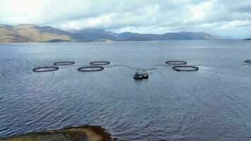 mer ferme aquaculture filets utilisé pour intensif poisson agriculture video